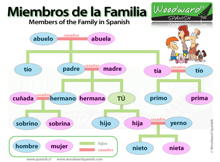 Miembros de la familia en español