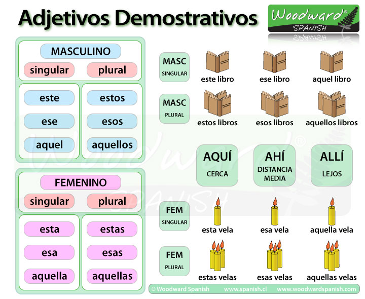 Los Adjetivos Demostrativos en español