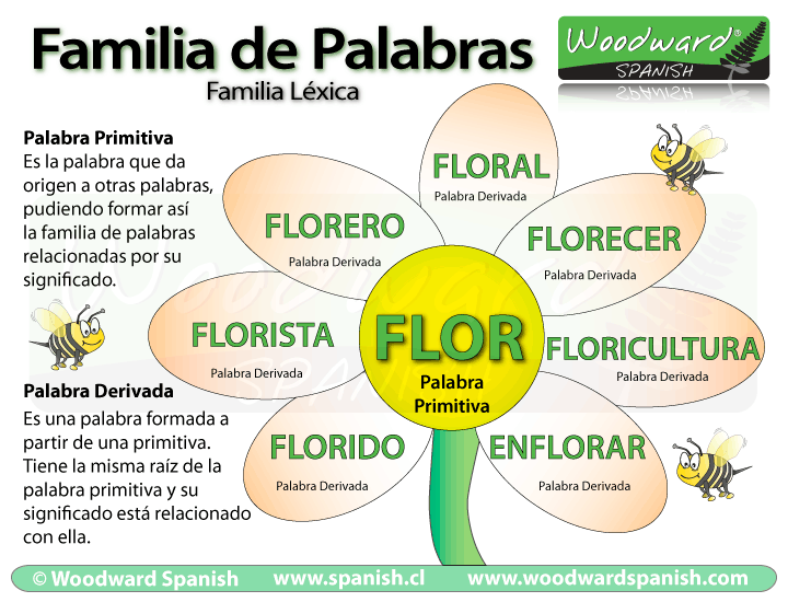 Familia de palabras en español - Familia Léxica