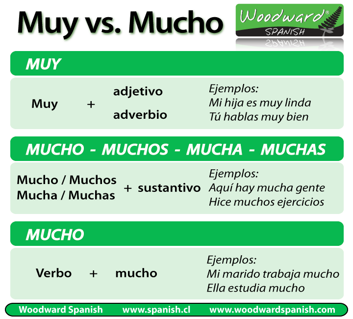 Muy vs Mucho - Gramática