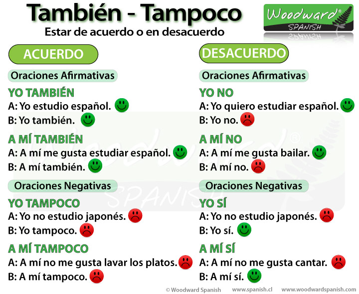 The difference between También and Tampoco in Spanish