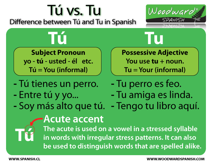 The difference between Tú and Tu in Spanish