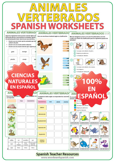 Animales Vertebrados - Spanish Worksheets
