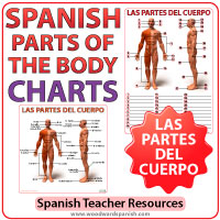Spanish Parts of the Body - Charts - Las Partes del Cuerpo Humano en español